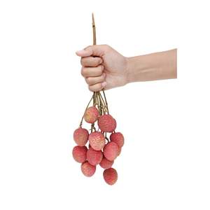 Litchi frais biologique de qualité supérieure en provenance de Bac Giang et de Hai Duong avec livraison fiable en chaîne du froid - Product Image 6