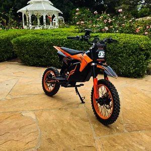 Moto électrique tout-terrain professionnelle en stock UE, 3000W de puissance de pointe, moto de cross 48V 50km/h, moto de course pour adolescents et adultes - Product Image 1