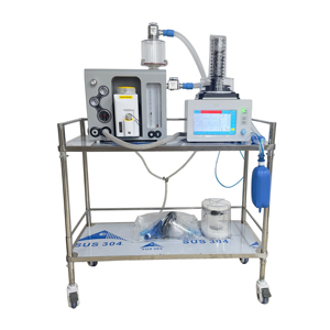 BJHRD GSM-II Peralatan Operasi Hewan Portabel Perlengkapan Mesin Anestesi Produk Medis Hewan - Product Image 5