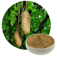 Beste prijs 100% natuurlijk Kigelia Africana fruitpoeder Kigelia Power Kigelia African Power