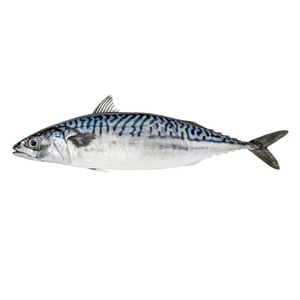 Leurre <span class=keywords><strong>de</strong></span> pêche artificiel au trolling avec design <span class=keywords><strong>de</strong></span> banc <span class=keywords><strong>de</strong></span> poissons, diffuseur d'eau laser à changement <span class=keywords><strong>de</strong></span> direction pour bateaux <span class=keywords><strong>de</strong></span> thon et avions - Product Image 6