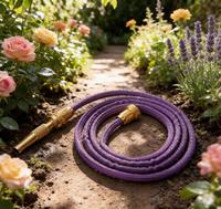 Vente directe d'usine - Tuyau d'arrosage de jardin rétractable, extensible, durable, en latex, disponible en 100 pieds/75 pieds/50 pieds/25 pieds