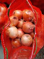 Verse Gele Uien Uit China Leverancier In Uien China Import Verse Uien Te Koop