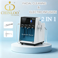 Appareil de beauté non invasif 2 en 1 pour microdermabrasion à jet d'eau et peeling cutané