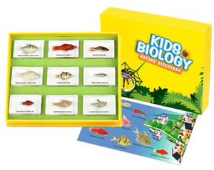 Gelsonlab HSKS-2709 grano familia integrado especímenes biológicos enseñanza integrado especímenes - Product Image 3