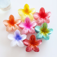 Pinzas para el Cabello con Flores de Plumeria en Degradado de 6 cm |   Pinzas de Pelo de Plástico Coloridas con Forma de Tiburón, Accesorios para el Cabello de Verano para Mujer