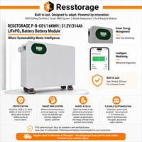 Batterie LiFePO4 16 kWh 51,2 V avec BMS intelligent pour système d'alimentation de secours pour onduleur solaire hybride