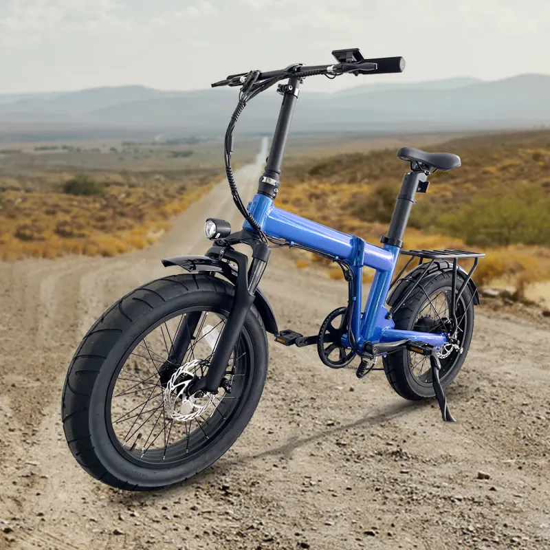 Hoya bicicletta elettrica batteria pieghevole bici elettrica da strada per le vendite miglior prezzo di alta qualità 20 pollici 350w batteria al litio 36V