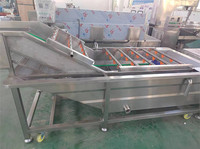 Laitue végétale commerciale carotte et fruits figue de barbarie pomme fraise mangue Machine de nettoyage à bulles Machine à laver les tomates