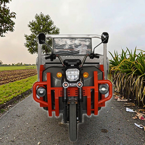 Tricicli elettrici con motore Cargo a 3 ruote a corpo aperto motocicli merci a tre ruote per lavoro agricolo - Product Image 2