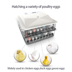 YIWAN Máy Ấp Trứng Gà 56/104 Công Suất Kép Hoàn Toàn Tự Động 104 - Product Image 5