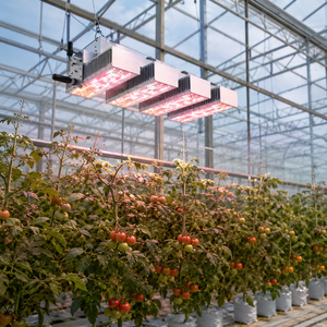 Luces LED de Cultivo de Alto Rendimiento de 520w 660w 880w 1040w <span class=keywords><strong>1210w</strong></span> IP66 con Parte Superior de Aluminio para Invernadero - Product Image 4