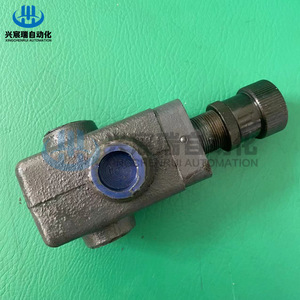 Vanne de réduction de pression Xingchenrui P-B63 5 Mpa à action directe pour applications huile et eau - Product Image 2