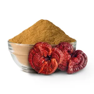 Reishi nấm bột Ganoderma lucidum chiết xuất đỏ đen thực phẩm hữu cơ vỏ wuling vàng được lưu trữ ở nơi khô ráo và mát mẻ Cay Đắng