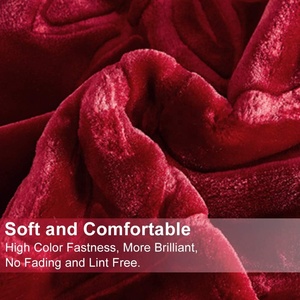 200*240Cm Chất Lượng Cao Đôi <span class=keywords><strong>Ply</strong></span> Mềm Nổi Raschel Chồn Chăn Nặng - Product Image 5