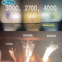 Moteur d'éclairage à fibres optiques RGBW à changement de couleur avec contrôle Wi-Fi via application Tuya et télécommande, source lumineuse à fibres optiques à roue de couleur blanche scintillante