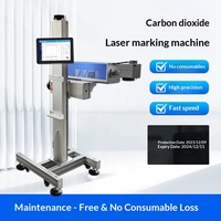 Machine de marquage laser volante pour sacs d'emballage en verre/plastique/métal/acier inoxydable ; Système d'étiquetage en ligne entièrement automatique