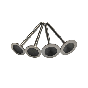 ऑडी सी 5 2.4 बीडीवी 058109611 मीटर 058109601c के लिए उच्च गुणवत्ता वाले सेवन और निकास वाल्व - Product Image 2