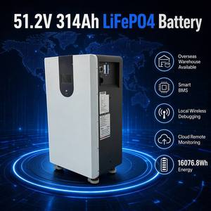แบตเตอรี่ LiFePO4 51.2V 300Ah 15.36kWh ระบบกักเก็บพลังงานภายในบ้าน ชุดแบตเตอรี่พลังงานแสงอาทิตย์ พร้อมระบบจัดการแบตเตอรี่อัจฉริยะ (Smart BMS) 6000+ รอบการใช้งาน รับประกัน 5 ปี - Product Image 1