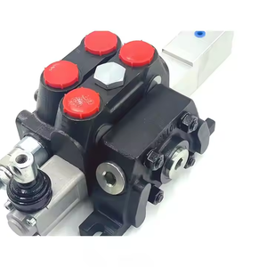 Vanne hydraulique sectionnelle pneumatique haute performance DCV100 à 1 bobine |   Fabricant direct d'usine et fournisseur mondial - Product Image 4