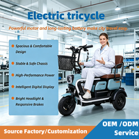 Tricycle Électrique de Transport Personnalisé pour Animaux de Compagnie et Personnes Âgées, Véhicule à Trois Roues pour la Mobilité, Direct Usine AFTFA