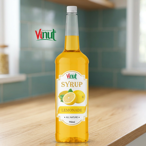 Concentrado de Jugo de Limonada en Botella de Vidrio de 750 ml, Calidad Premium Natural VINUT, Caja a Granel para Hostelería - Product Image 2