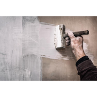 Jady – peinture inodore et résistante aux alcalis, meilleure peinture pour le mur et le plafond de ciment de la maison