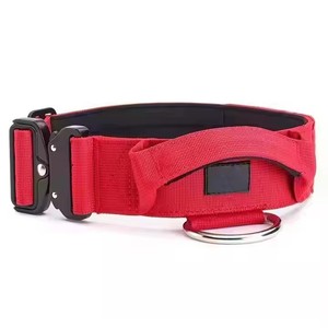 맞춤형 로고 멀티 컬러 조정 가능한 야외 훈련 애완 동물 2 인치 나일론 중장비 개 목걸이 - Product Image 3