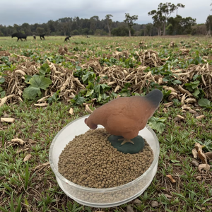 Protéine monocellulaire sans <span class=keywords><strong>antibiotique</strong></span> microbien sûr 70% pour additif alimentaire - Product Image 4