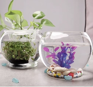 D-Vormige Glazen <span class=keywords><strong>Aquarium</strong></span> Met Transparante Basis Voor Moderne Huisdecoratie; Fles Voor Aquaponics En Microlandschappen - Product Image 2