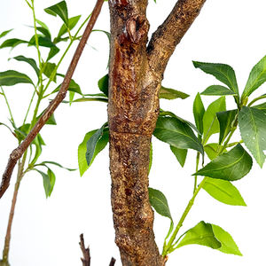 Arbre artificiel réaliste <span class=keywords><strong>Pieris</strong></span> <span class=keywords><strong>Japonica</strong></span>, fleurs artificielles pour décoration de mariage, décoration de la maison, résistant aux UV, installation facile - Product Image 6