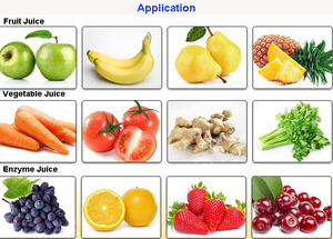 Extracteur de jus industriel à spirale pour pommes, oranges, raisins – sans épluchage, moteur en acier inoxydable 304, haute performance pour usines de transformation de fruits - Product Image 6