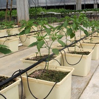 NatureHydro Pots hydroponiques carrés modernes en PP durables pour l'agriculture intérieure et l'utilisation en serre Capacité 11L/24L/32L