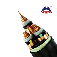 Cable de alimentación eléctrica subterráneo XLPE de cobre de 5 núcleos Tamaños de 25mm-300mm para construcción MOQ 500m