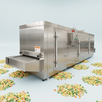 Automatische IQF-snelvriesmachine met tunnel voor het snel invriezen van frieten, diepvriesgroenten en -fruit