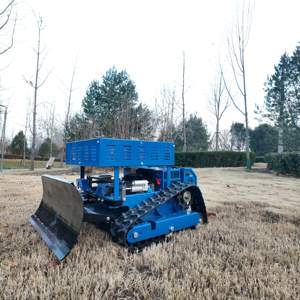 Cortadora de Césped Robusta de 550 mm con Certificación CE y Estante de Almacenamiento para Viveros Comerciales, Jardines Botánicos y Arbóreteros Públicos - Product Image 4