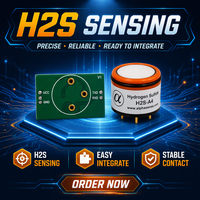 Module de capteur de gaz H2S de 0 à 100 ppm, électrochimique, haute précision, qualité industrielle, faible consommation d'énergie, pour moniteur de sulfure d'hydrogène, OEM