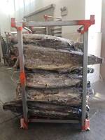 Marlin rayé congelé HGT, Marlin épée congelé, Marlin congelé à peau lisse, Poisson voilier congelé 10kg+
