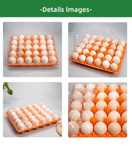 Plateau à œufs en plastique 30 alvéoles avec base et couvercle séparés, en PET transparent et durable, pour l'emballage, le transport et le stockage des œufs de poule en ferme et en commerce de détail - Product Image 3