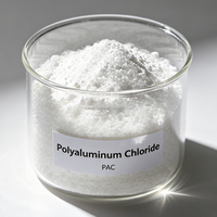 Chlorure de polyaluminium blanc de haute pureté, coagulant haute activité pour les eaux usées domestiques urbaines