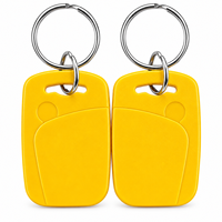 Porte-clés RFID double fréquence 13,56 MHz CUID + 125 KHz 5200/T5577 en ABS pour système de contrôle d'accès et de verrouillage hôtelier