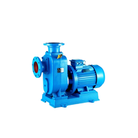 Fabricant de pompes centrifuges auto-amorçantes pour eaux usées et impuretés chimiques, série ZW, haute température