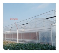 Serre Agricole Tunnel JP Multi-Travée Économique en Film Plastique pour Fraises Tomates, Protection Agricole