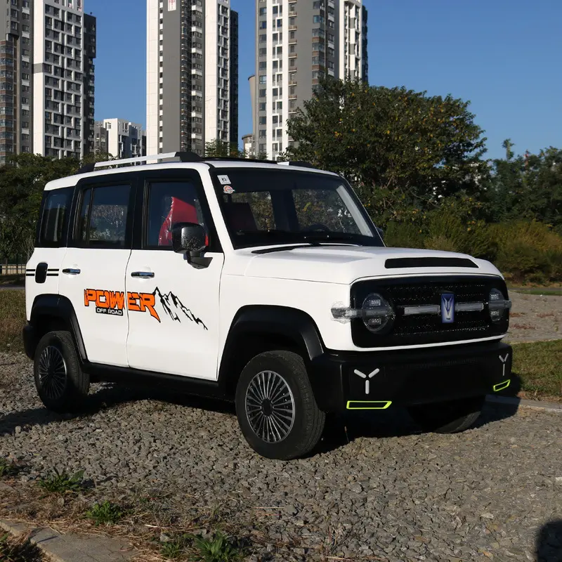 Pratique Vente chaude véhicule électrique à basse vitesse nouvelle énergie Mini quatre roues à faible consommation d'énergie Agence de vente