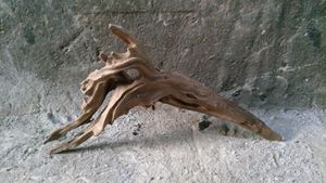 Goedkope Bonsai Aquarium Van Drijfhout Wortels Groothandel - Product Image 4