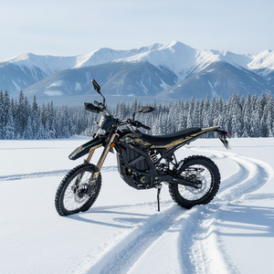 Moto tout-terrain et urbaine pour adultes, modèle Export Standard 2026 Surron Ultra 74V 24.5KW avec absorption des chocs - Product Image 1
