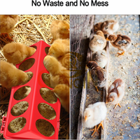 Qianqin Abreuvoir en plastique à 28 trous pour volailles, mangeoires pour animaux de ferme, 20 pouces, prix abordable, bonne qualité, usine chinoise, 50 cm de long