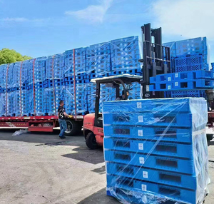 HDPE 1200*1000 daur ulang tugas berat langsung rak penawaran plastik palet untuk penyimpanan dari Cina - Product Image 6