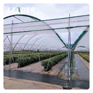 Cerceau de serre à <span class=keywords><strong>tunnel</strong></span> multi-travée de 9m <span class=keywords><strong>pour</strong></span> l'agriculture à faible coût avec couvercle en plastique et cadres galvanisés <span class=keywords><strong>pour</strong></span> la culture de légumes - Product Image 4