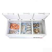 Congélateur coffre profond Rebirth Supermarket pour aliments surgelés, poisson, crème glacée, congélateur commercial à double porte
